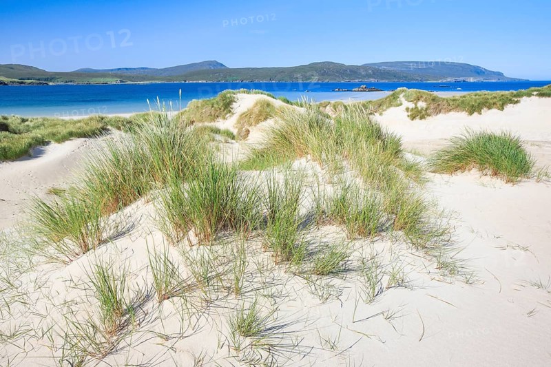 Sandy beach beach on the north coast