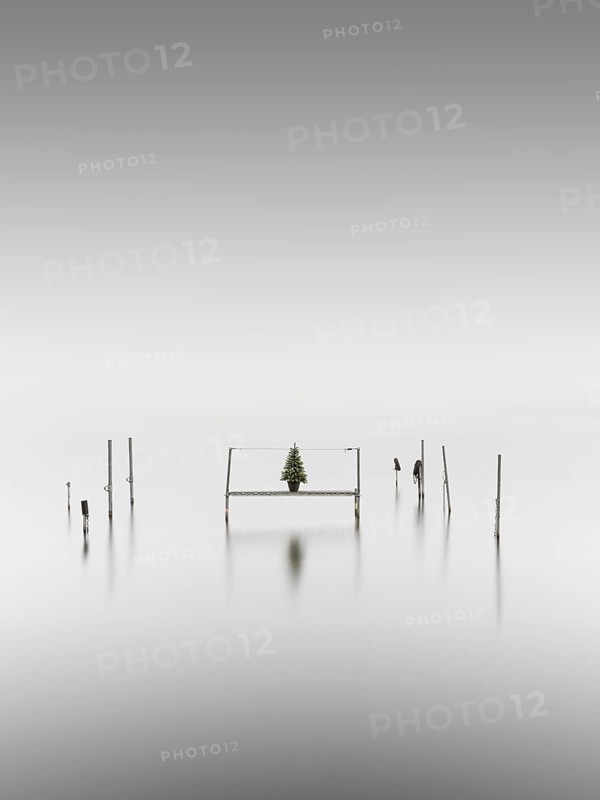 Footbridge with a fir tree in a pot at fog in the Kleiner Schwielochsee