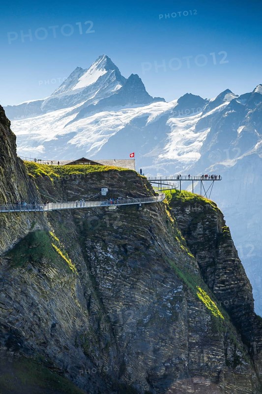 Schreckhorn