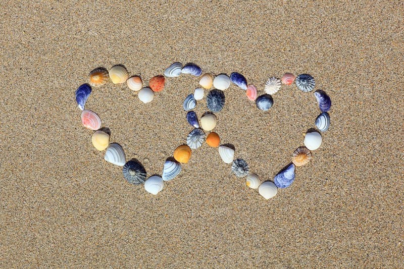 Shells forming double heart shape