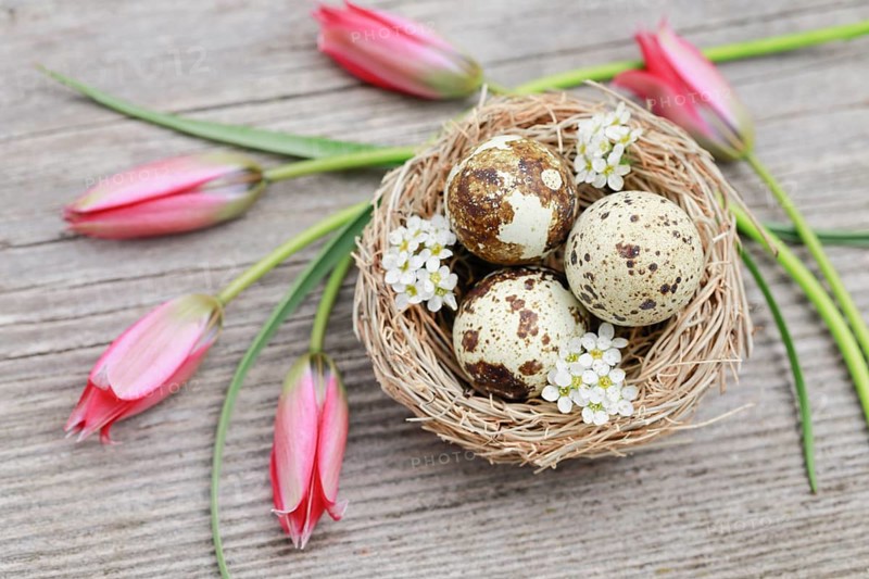 Natural Easter Decoration