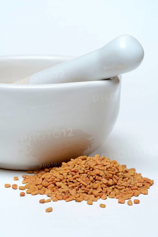 Fenugreek