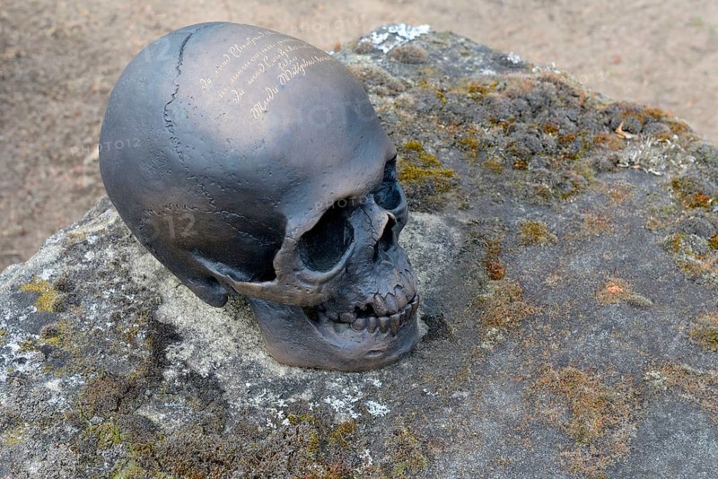 Bronze skull