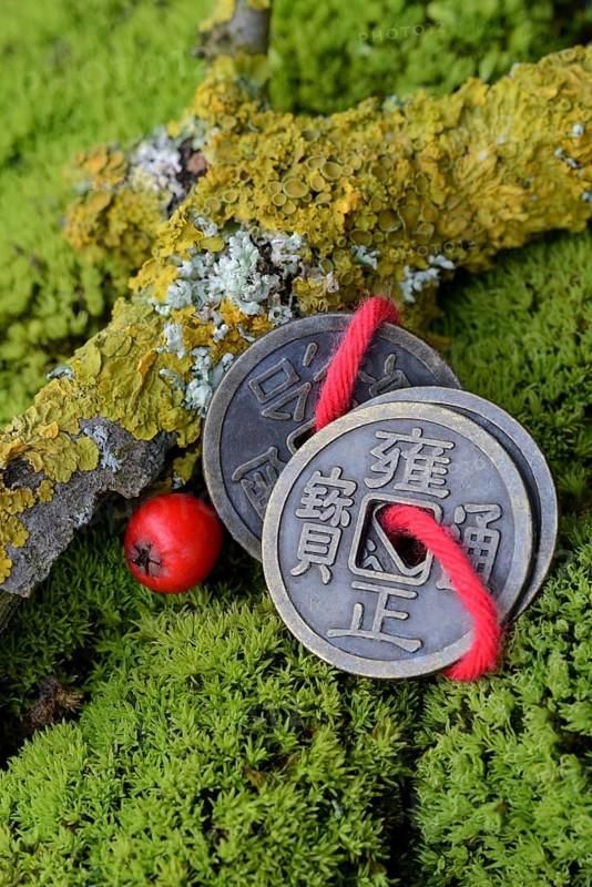 Chinese lucky coins in moss and twig with lichen