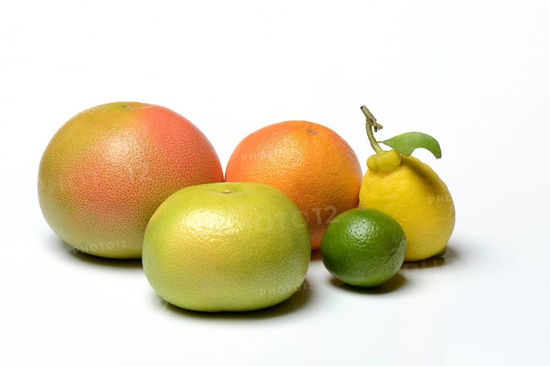 Various citrus fruits