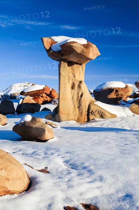 Bisti Badlands