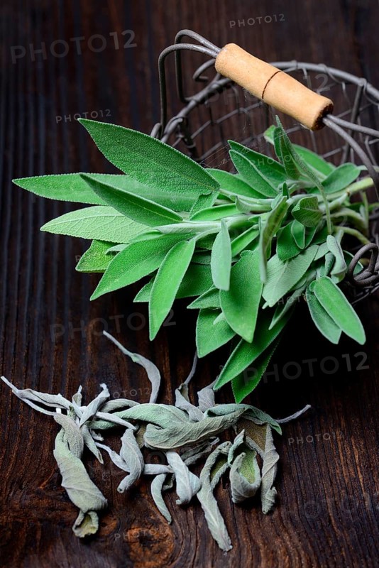 Sage