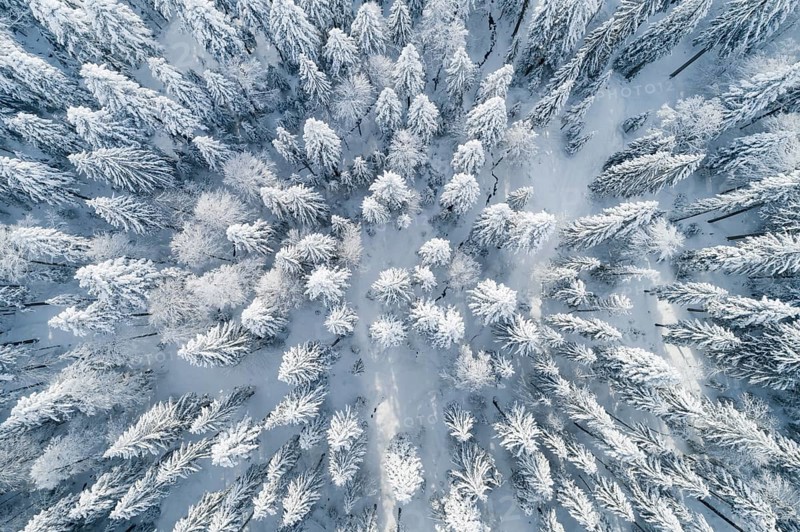 Drone shot of winter forest