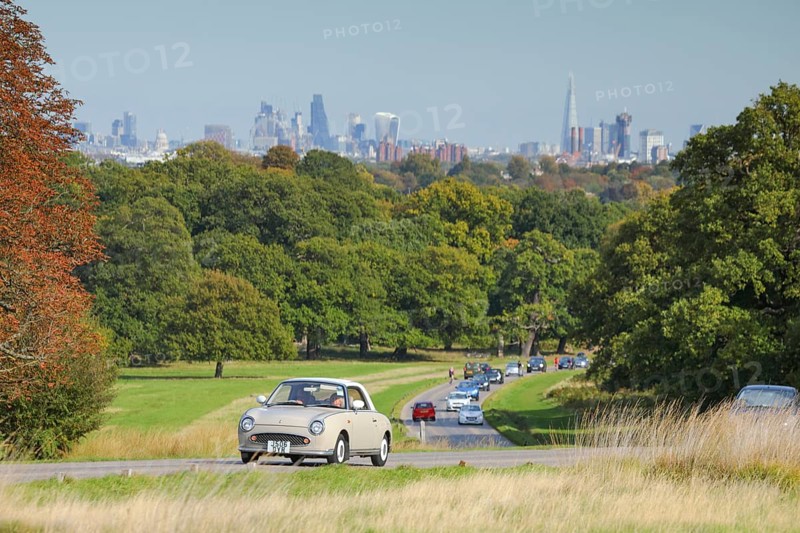 Heavy visitor traffic in Richmond Park