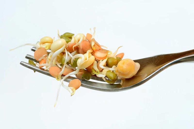 Mixed sprouts of lentils