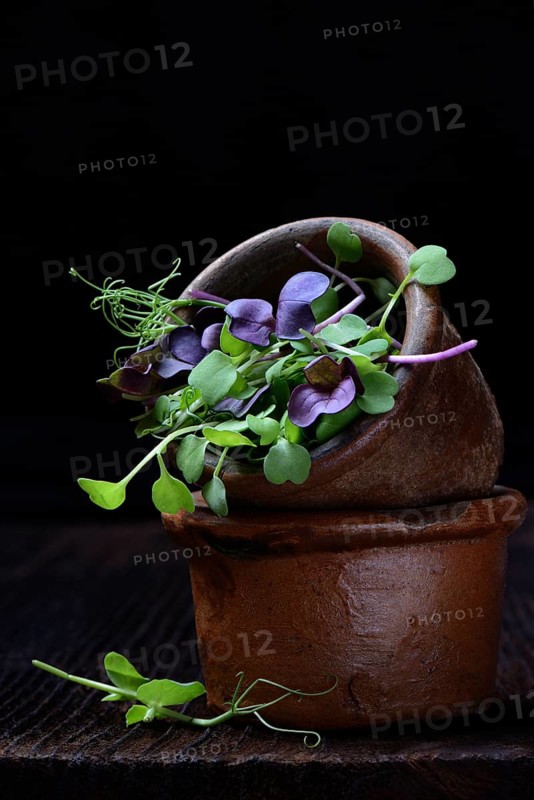 Microgreen