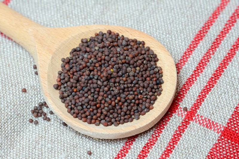 Mustard green