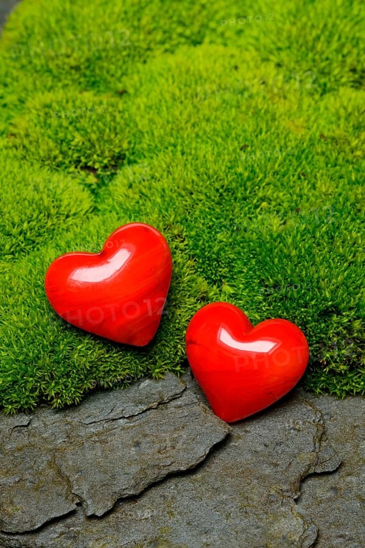 Hearts on moss cushion