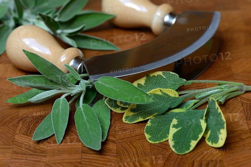 Sage leaves