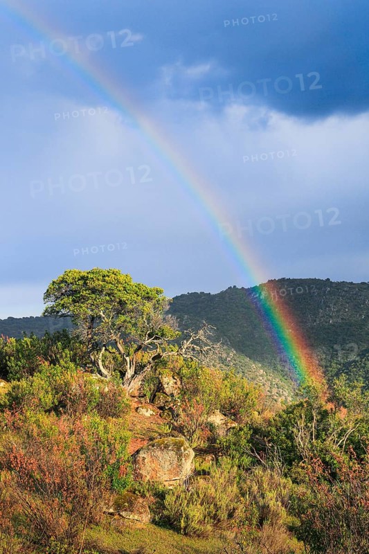 Typical landscape in the Sierra de Andujar National Park