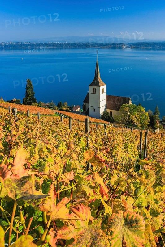 Ligerz on Lake Biel