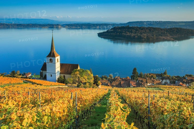 Ligerz on Lake Biel