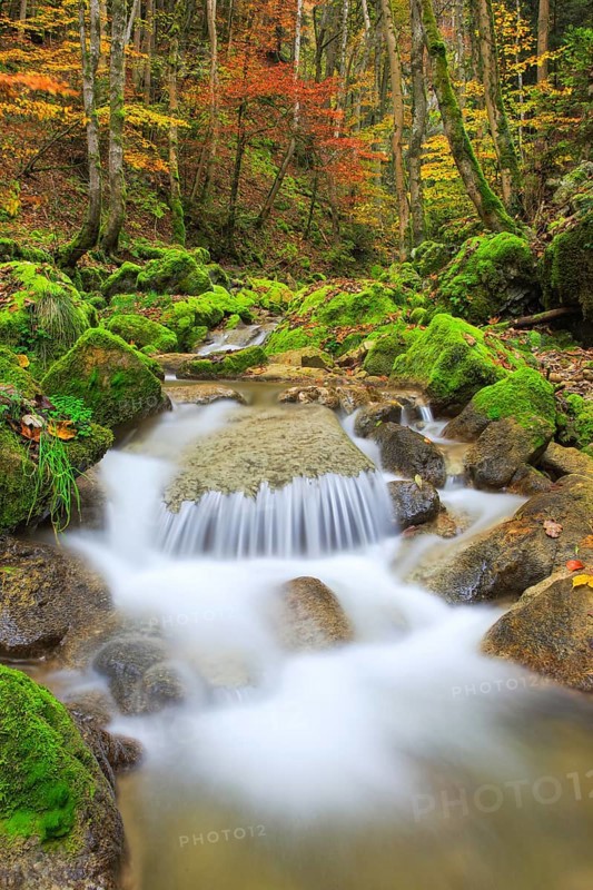 Twannbach Gorge