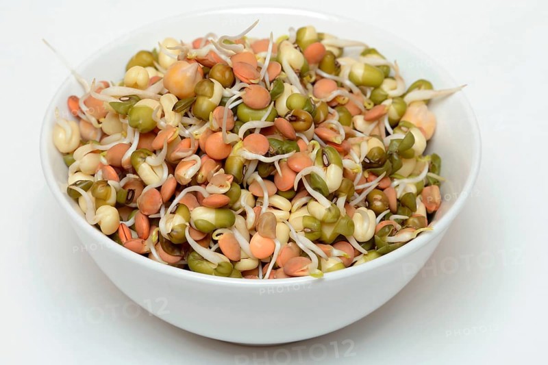 Mixed sprouts of lentils