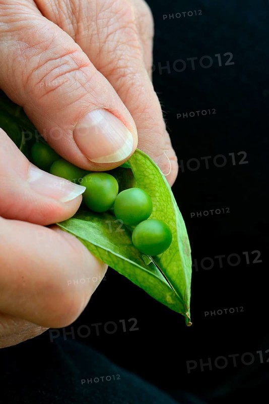 Opening a Peaspod