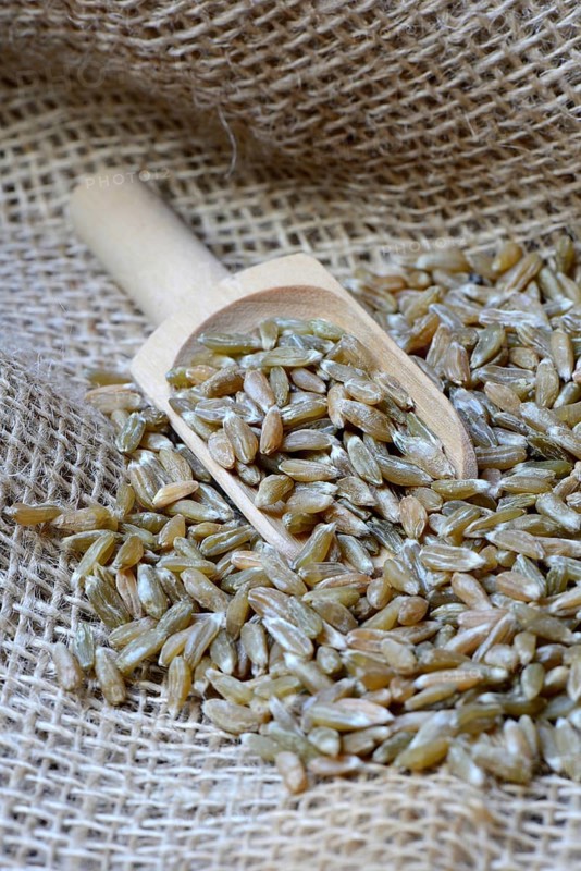 Unripe spelt grain