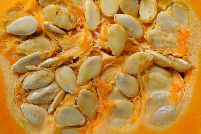 Pumpkin seeds