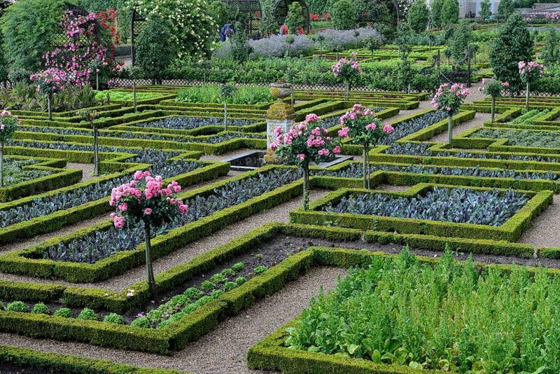 Vegetable garden of Villandry Castle