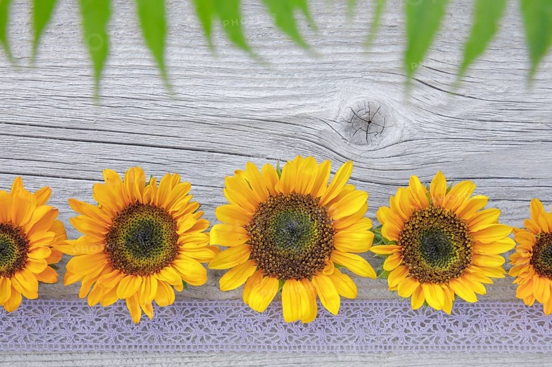 Sunflowers decoration on wood
