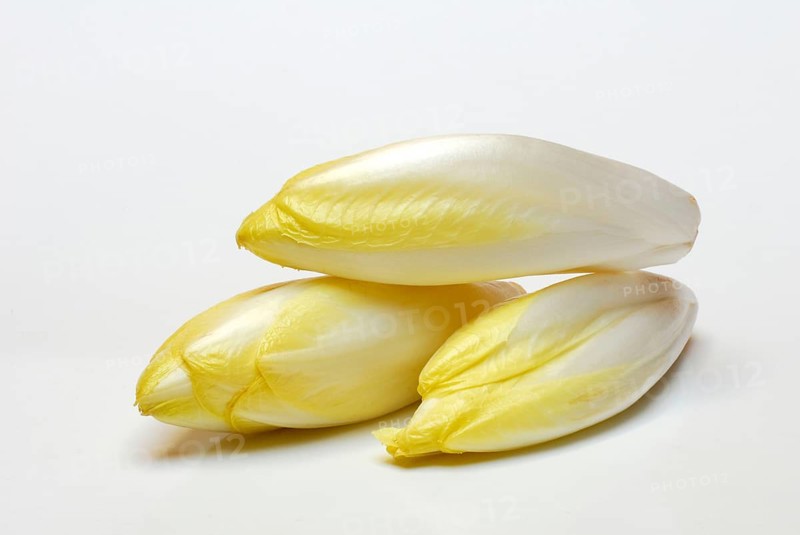 Chicory