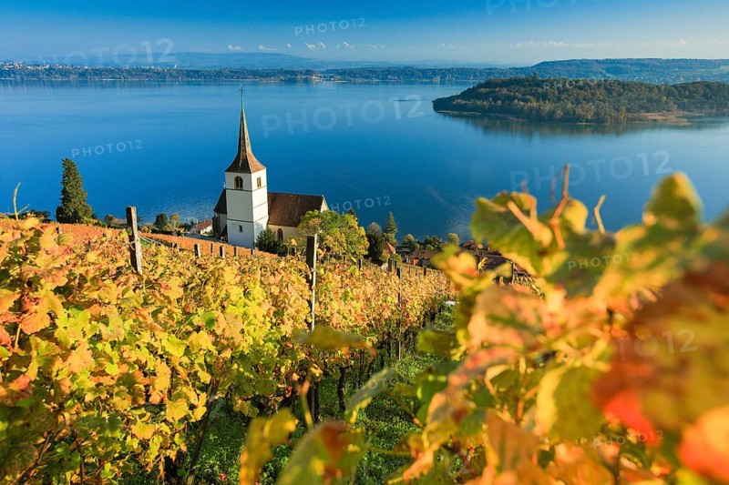 Ligerz on Lake Biel