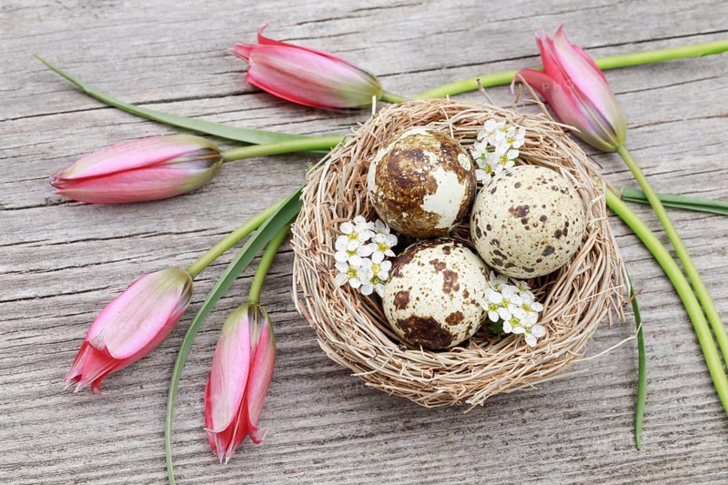 Natural Easter Decoration