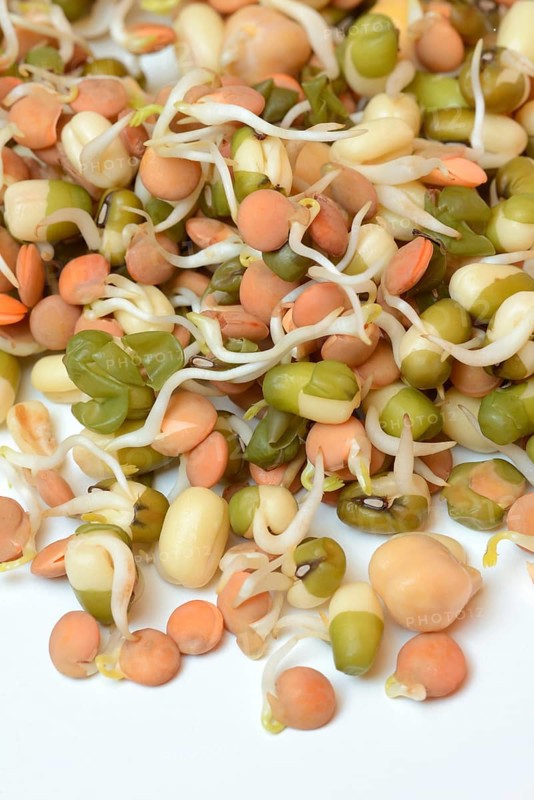 Mixed sprouts of lentils