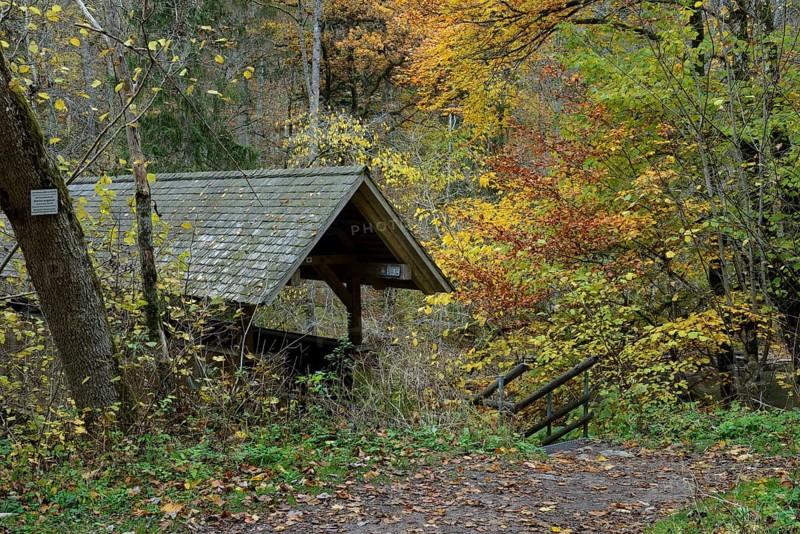 Wutach Gorge