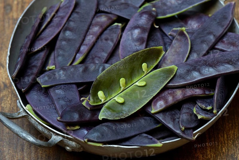 Violet pods