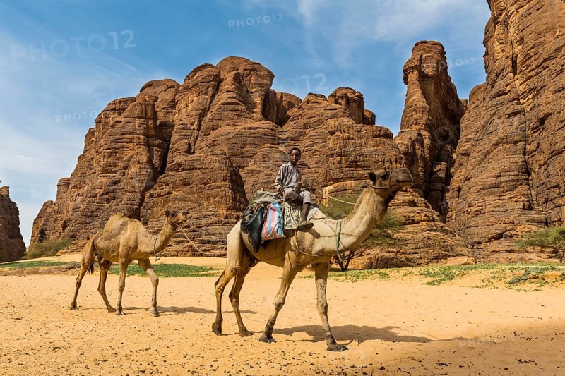 Boy riding on camel