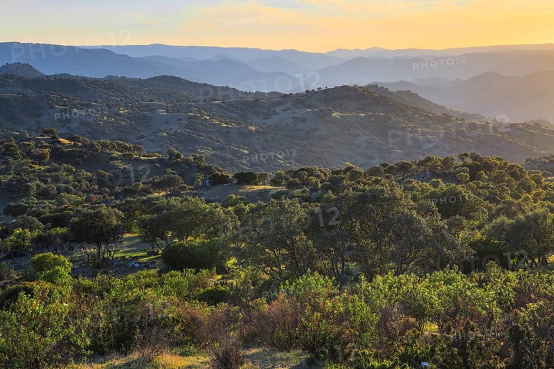 Typical landscape in the Sierra de Andujar National Park