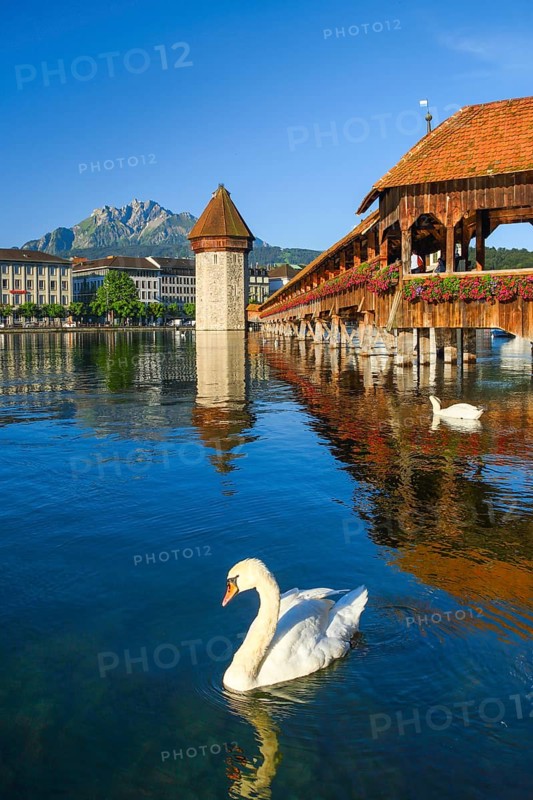 Chapel Bridge with Pilatus