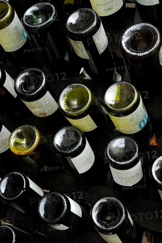 Wine bottles in rack