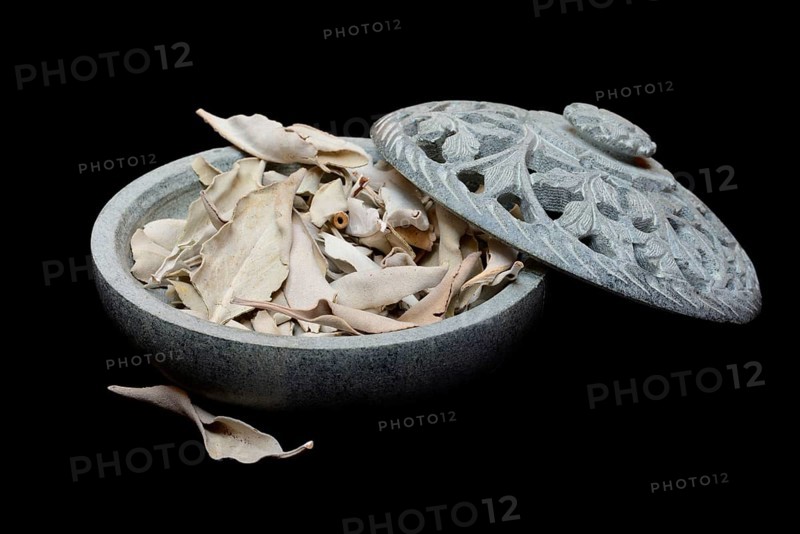 White sage