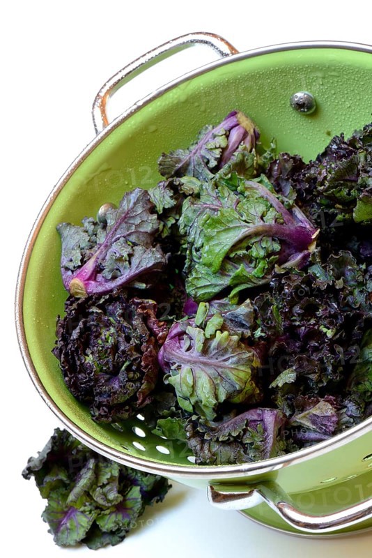 Flower Sprouts in sieve