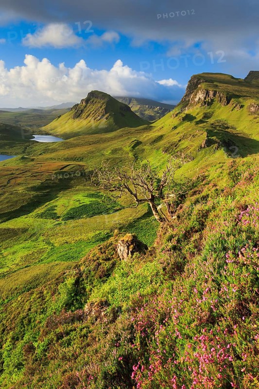 Trotternish
