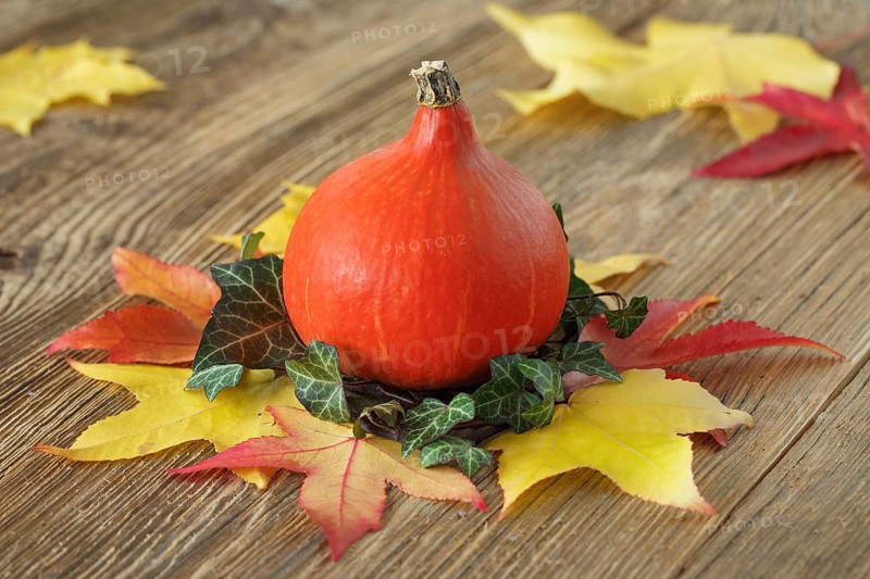 Autumnal decoration