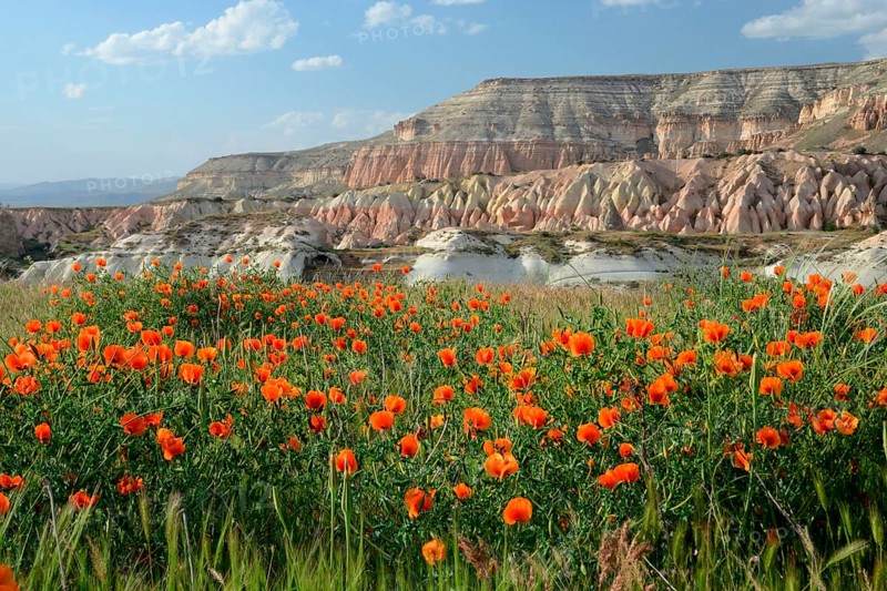 Tuff landscape