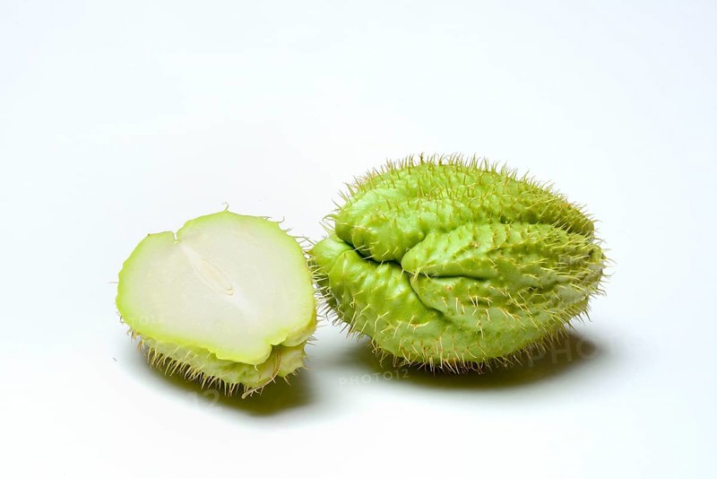 Chayote