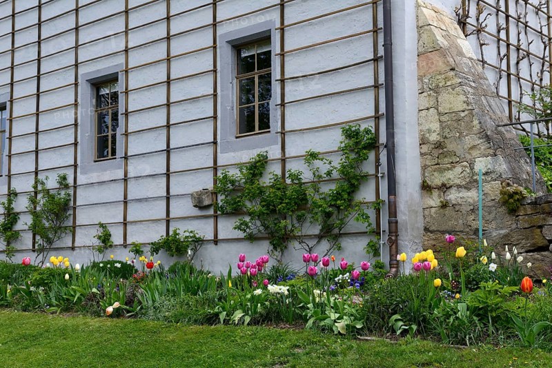 Flowerbed in Goethe's garden house