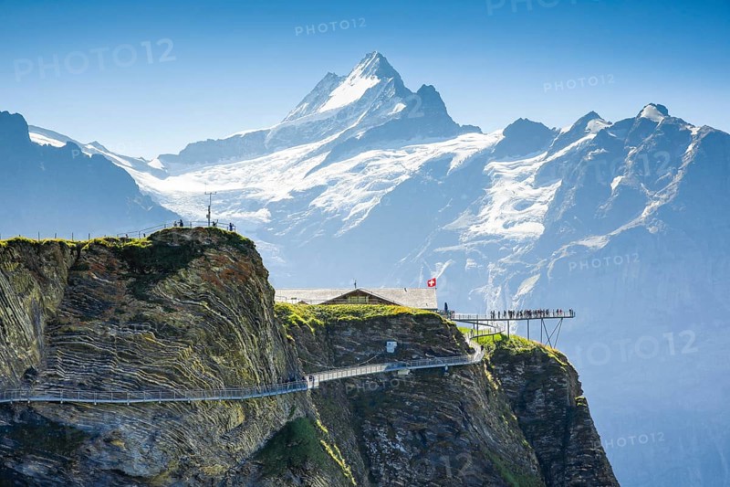 Schreckhorn