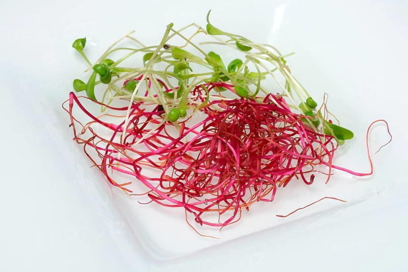 Beetroot sprouts