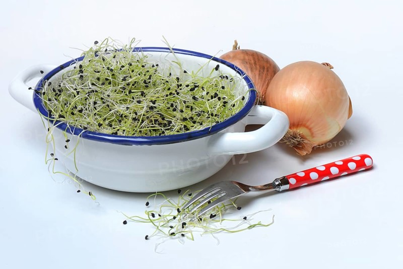 Onion sprouts in skin with fork and onions