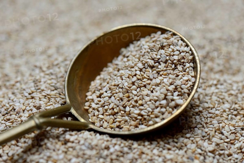 White seed