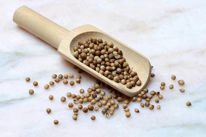 Corianderseeds